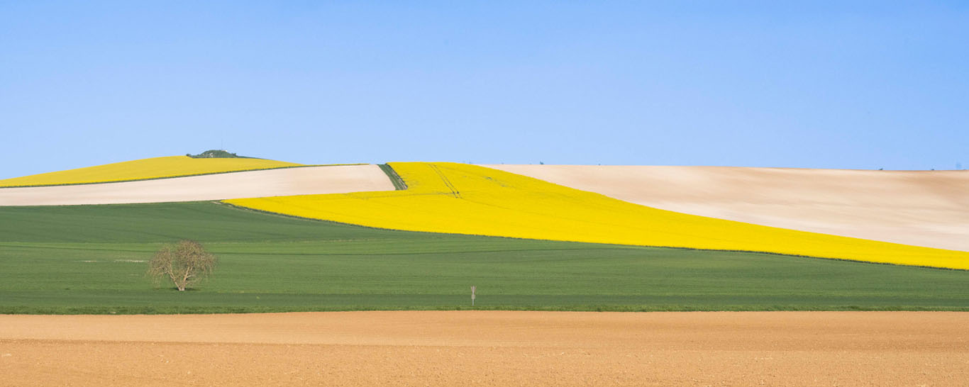 Drapeaux UE et Ukraine