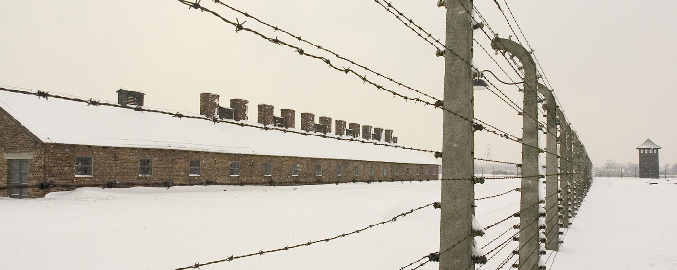 Fil barbelé, neige, camp d'Auschwitz-Birkenau