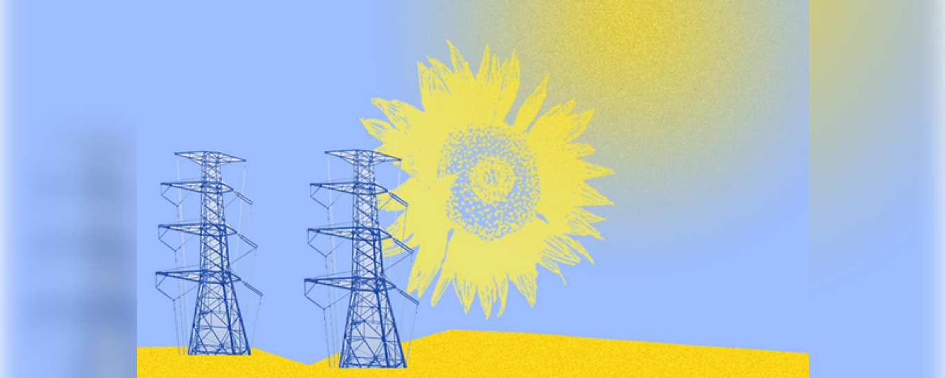 Tournesol et fils électriques